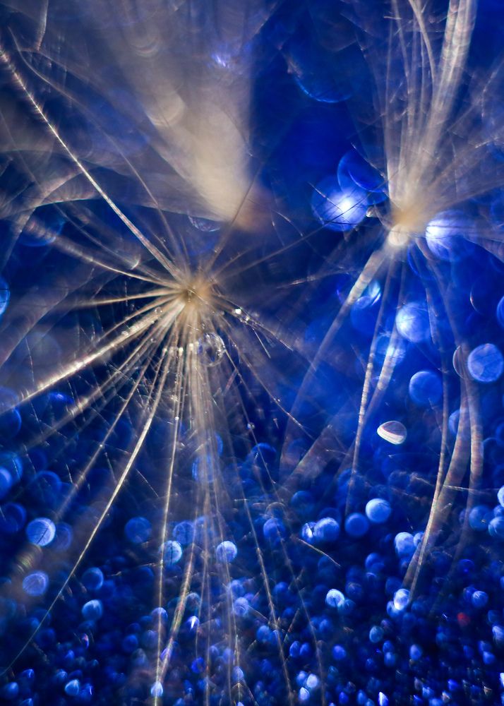 Photograph by Екатерина Шилина