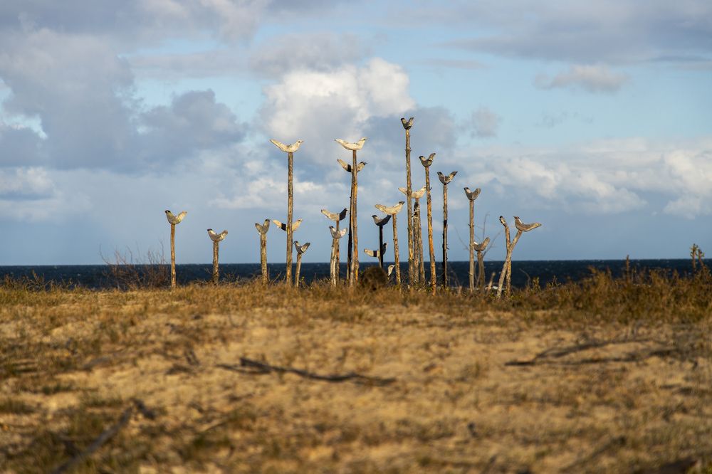 Photograph by Rolandas Valančauskas