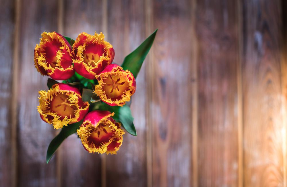 Photograph by Евгения Калашникова