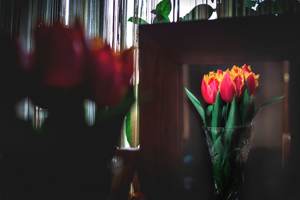 Photograph by Евгения Калашникова