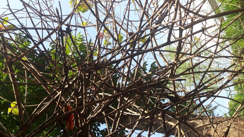 Photo #5998018