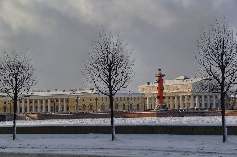 Зимний променад по Дворцовой набережной .