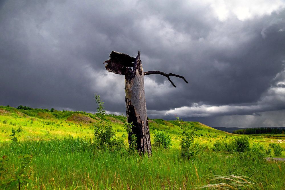 Гроза надвигается.