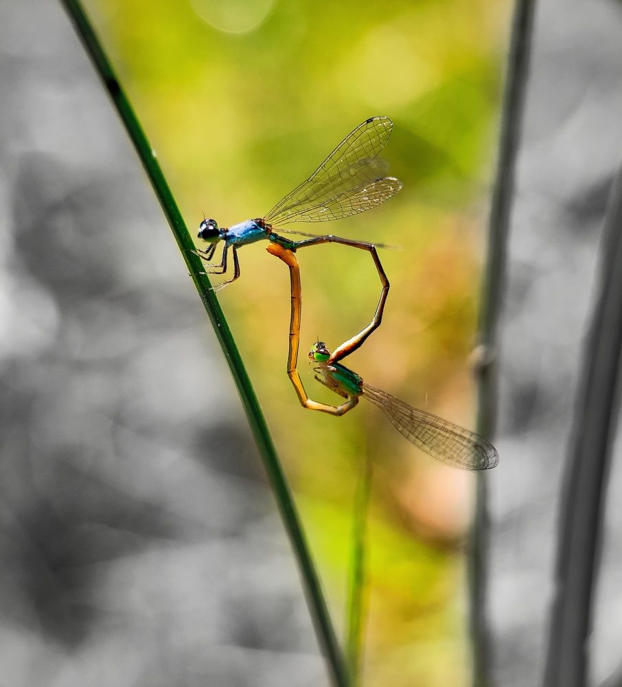 Photograph by Arindam Sahoo