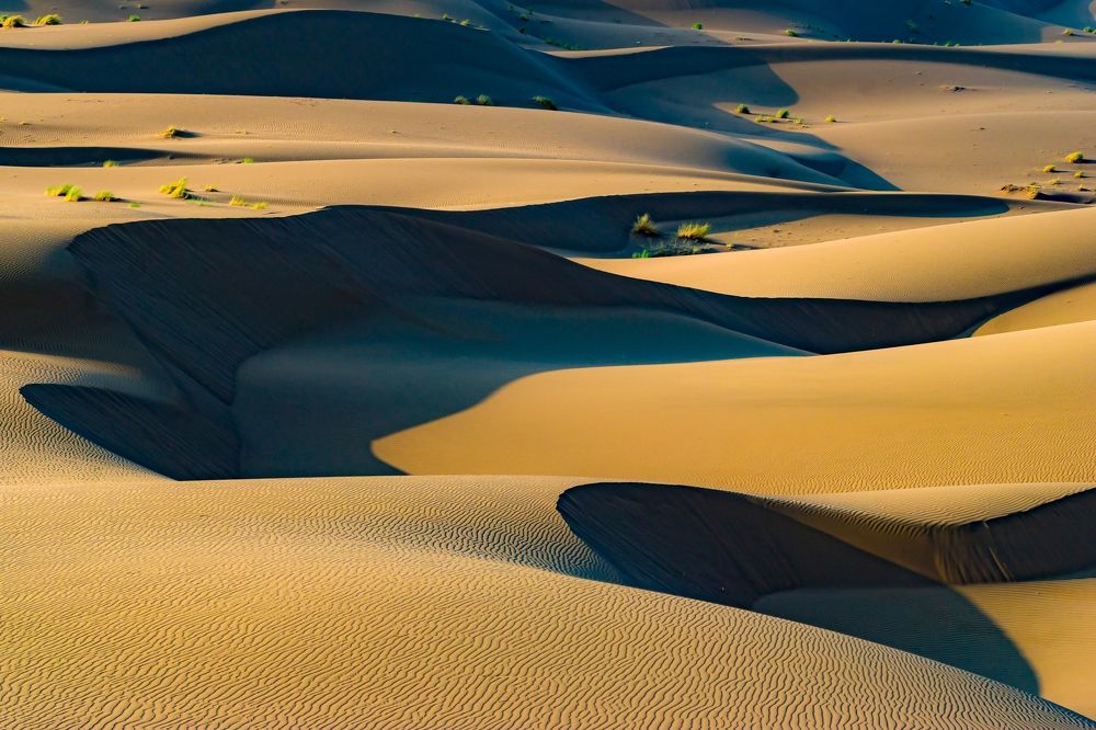 Photograph by Vahid Yavari