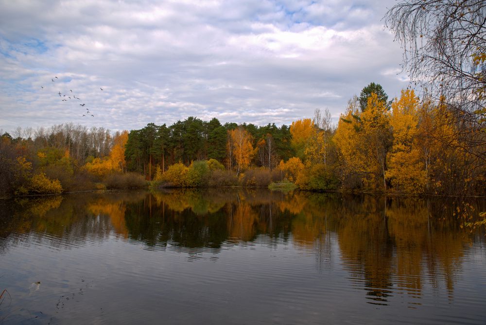 Фотография автора Сергей Чесноков