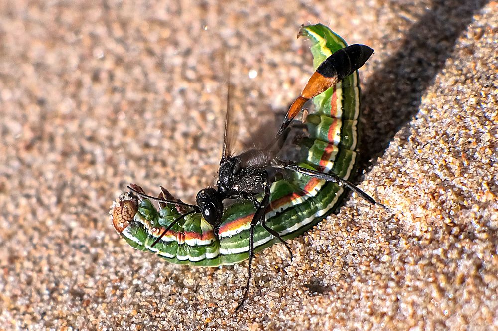 Photograph by Андрей