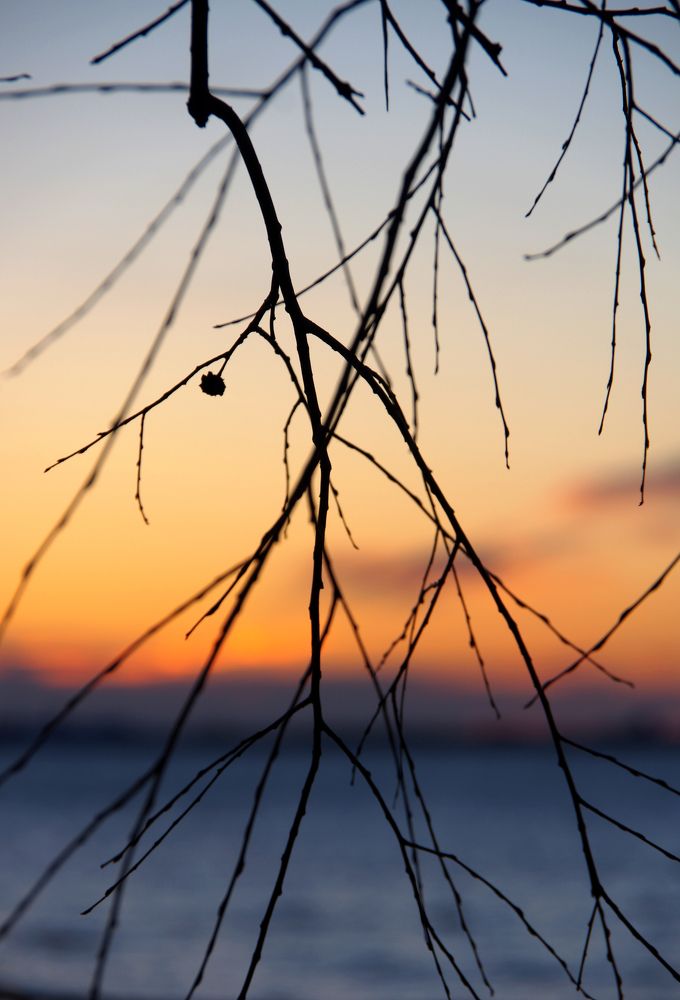 Photograph by Nadezda Sarap