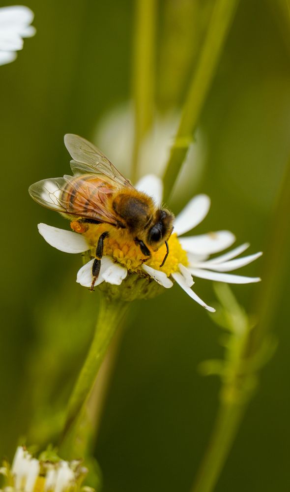 Photograph by Reinhold Seibel
