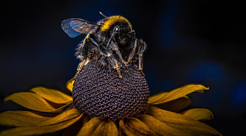 Photograph by Андрей Калинин