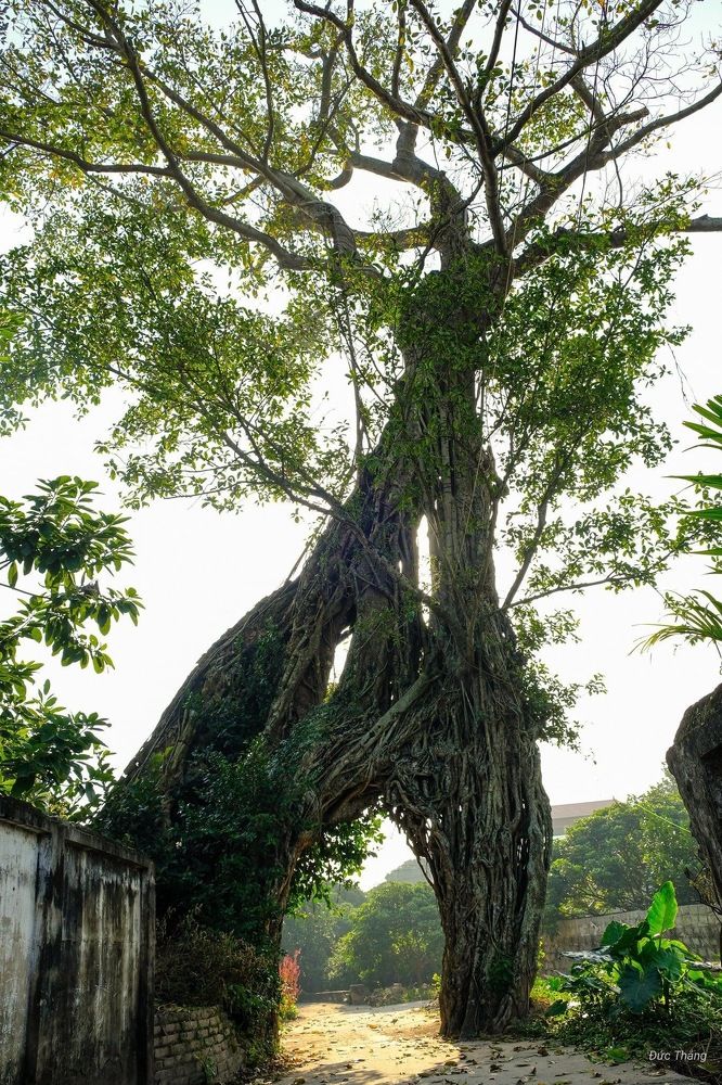 Photograph by HIEU LIEM DO