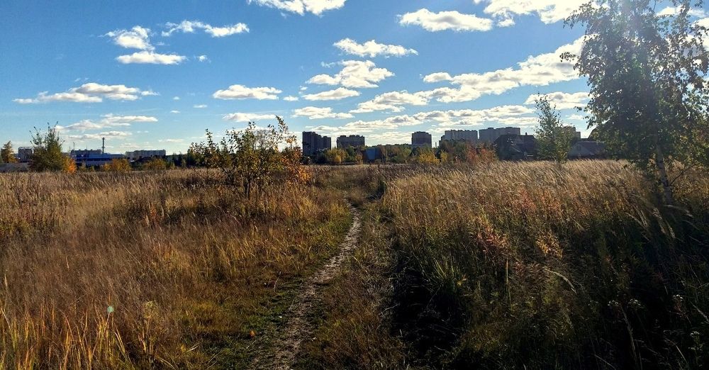 Photograph by Дмитрий Сорокин