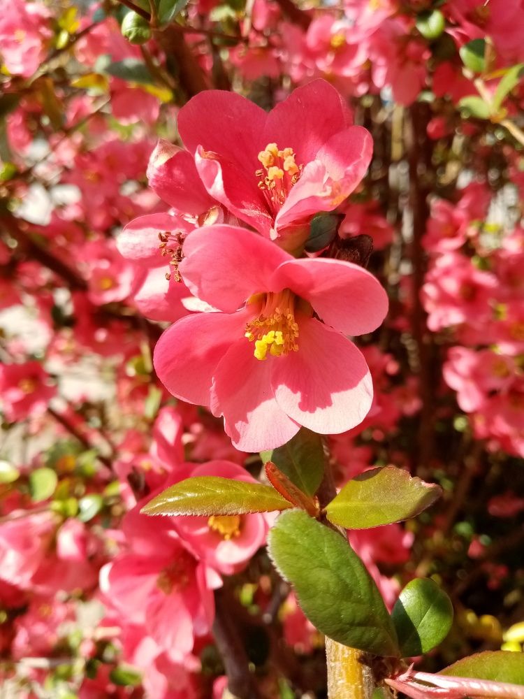 Photograph by Olga Vatkova