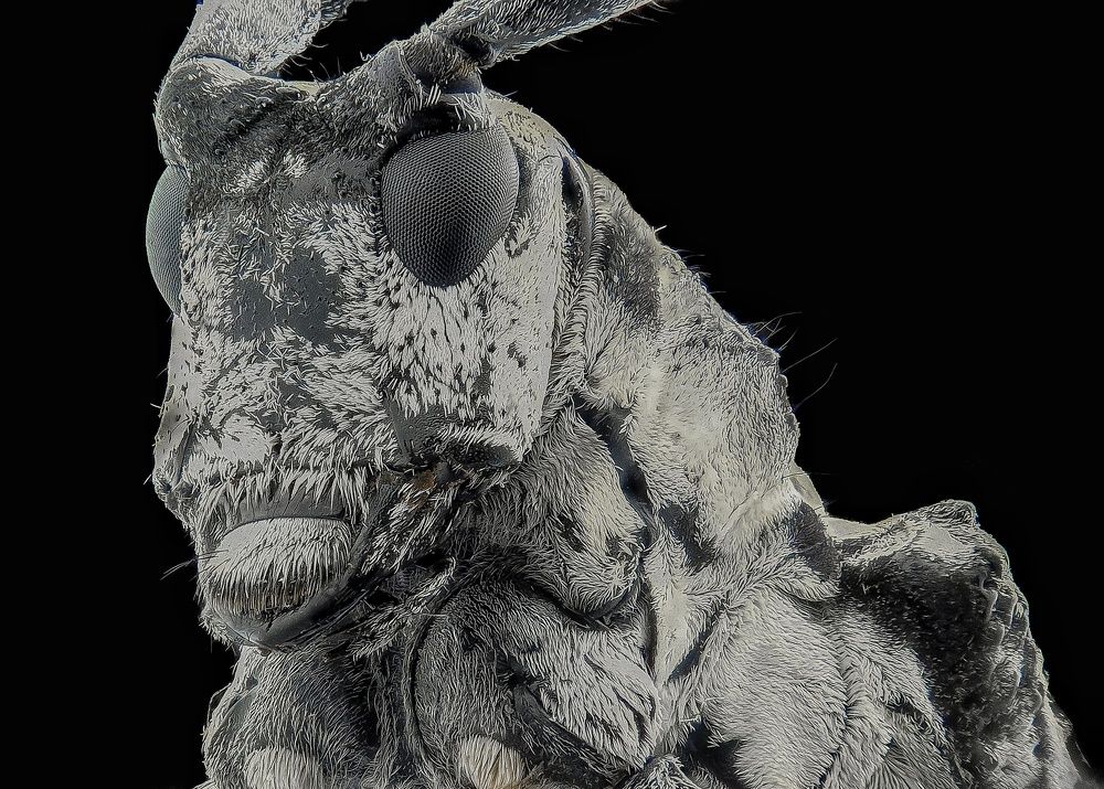 Photograph by  Duta Kharisma