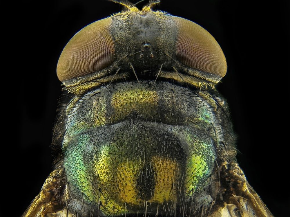 Photograph by  Duta Kharisma