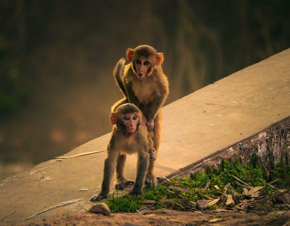 Photograph by Tshering Dorji