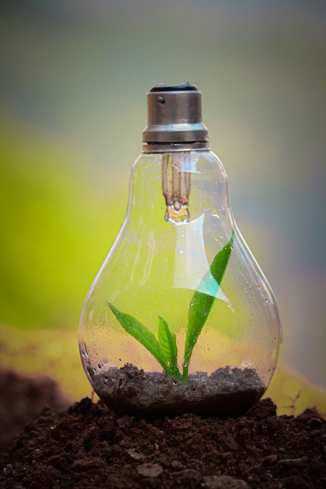 Photograph by Tshering Dorji