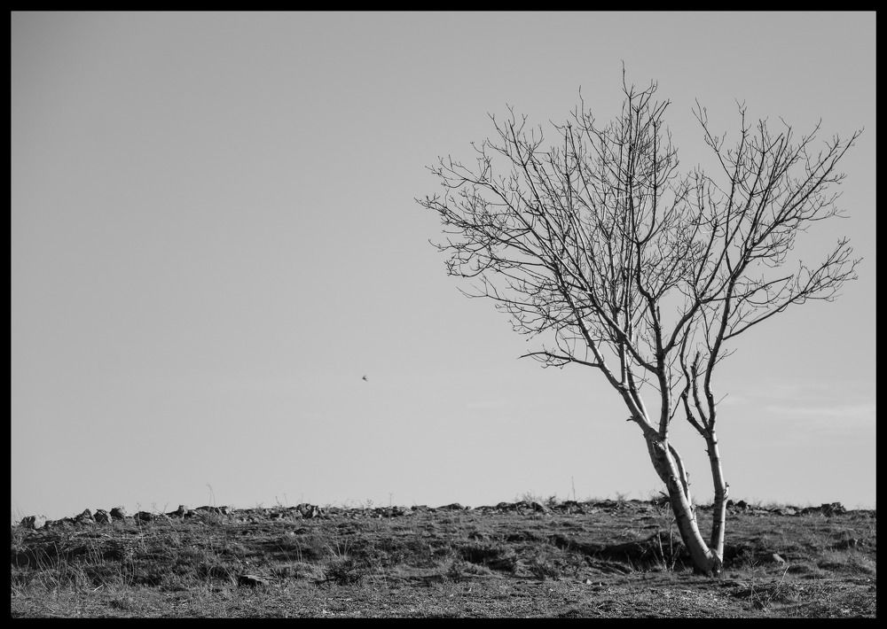 Photograph by Ehsan Ehsan