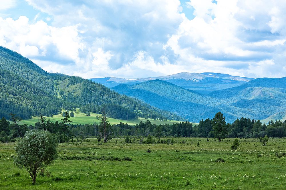Photograph by Максимова Ольга Васильевна
