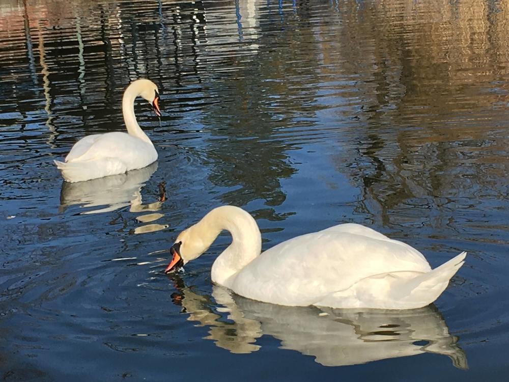 Фотография автора Tetiana Усольцева