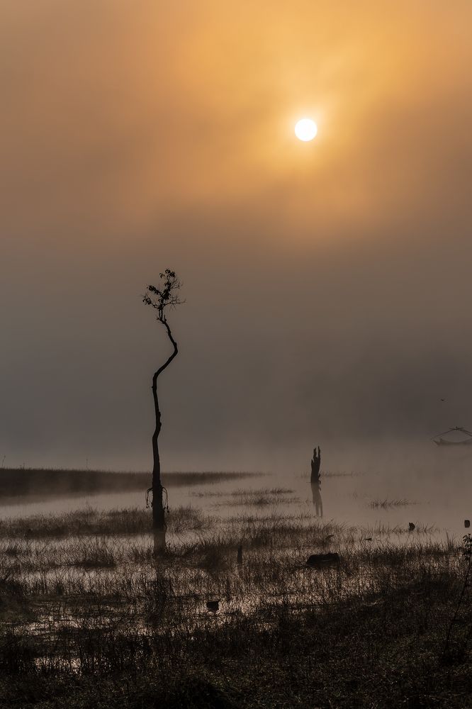 Photograph by Phong Dinh