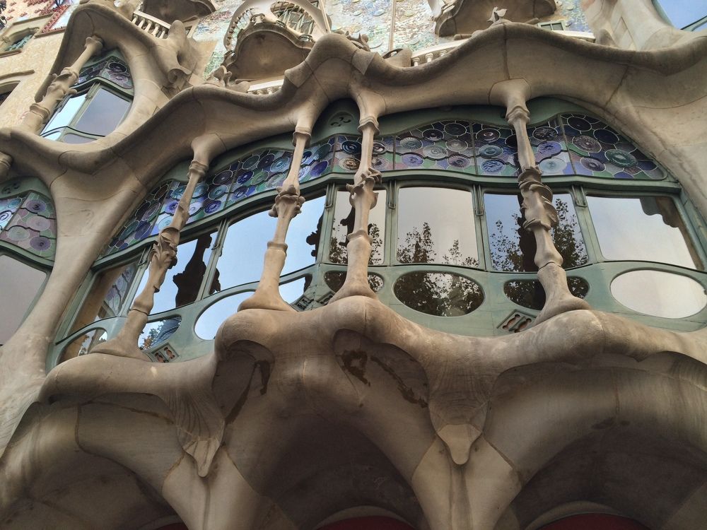 Фотография автора Арина Мясникова