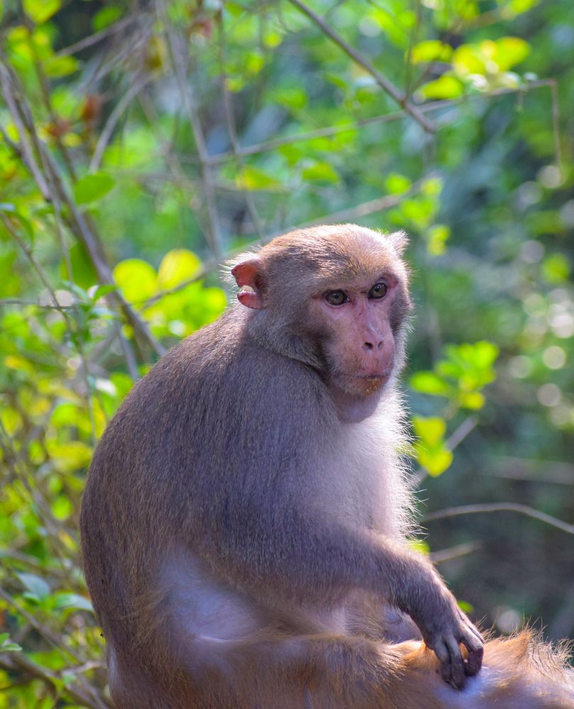 Photograph by Anurudha Biswas