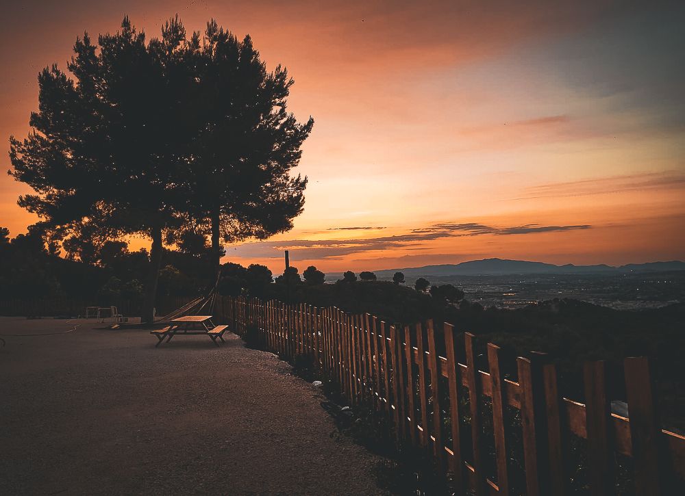 Photograph by photo_polsskyy