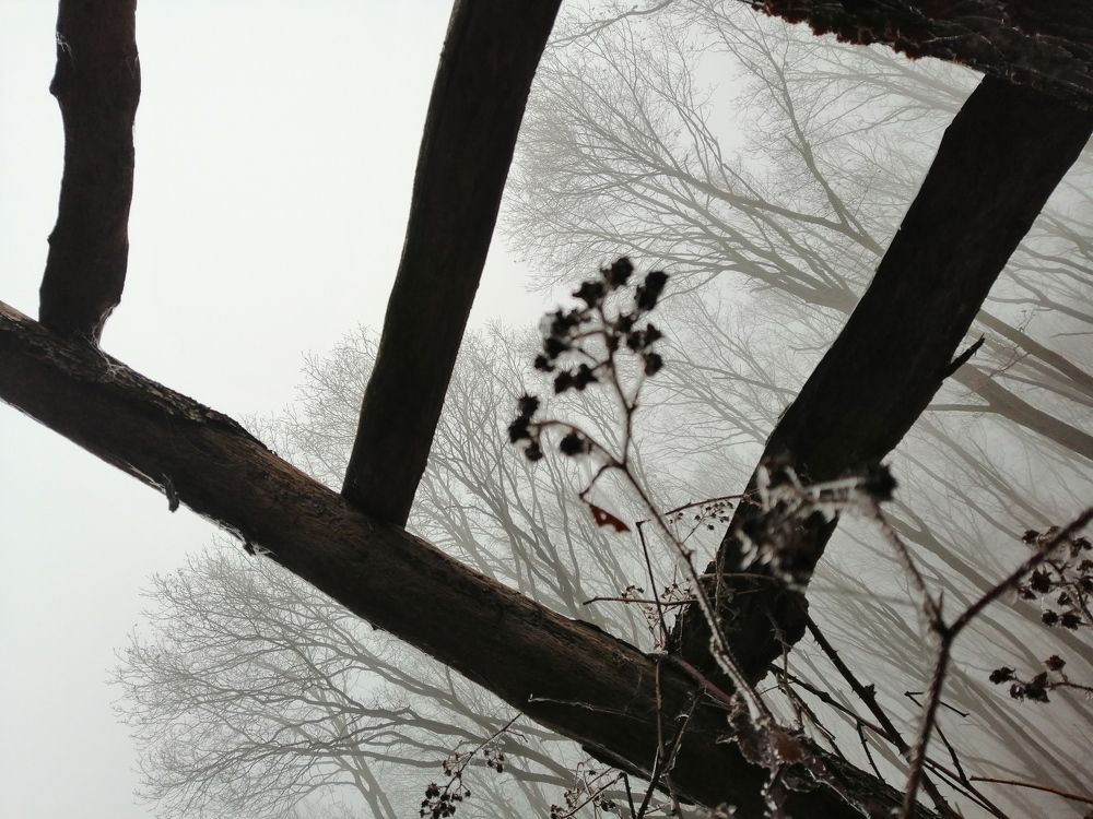 Photograph by Ana Creanga