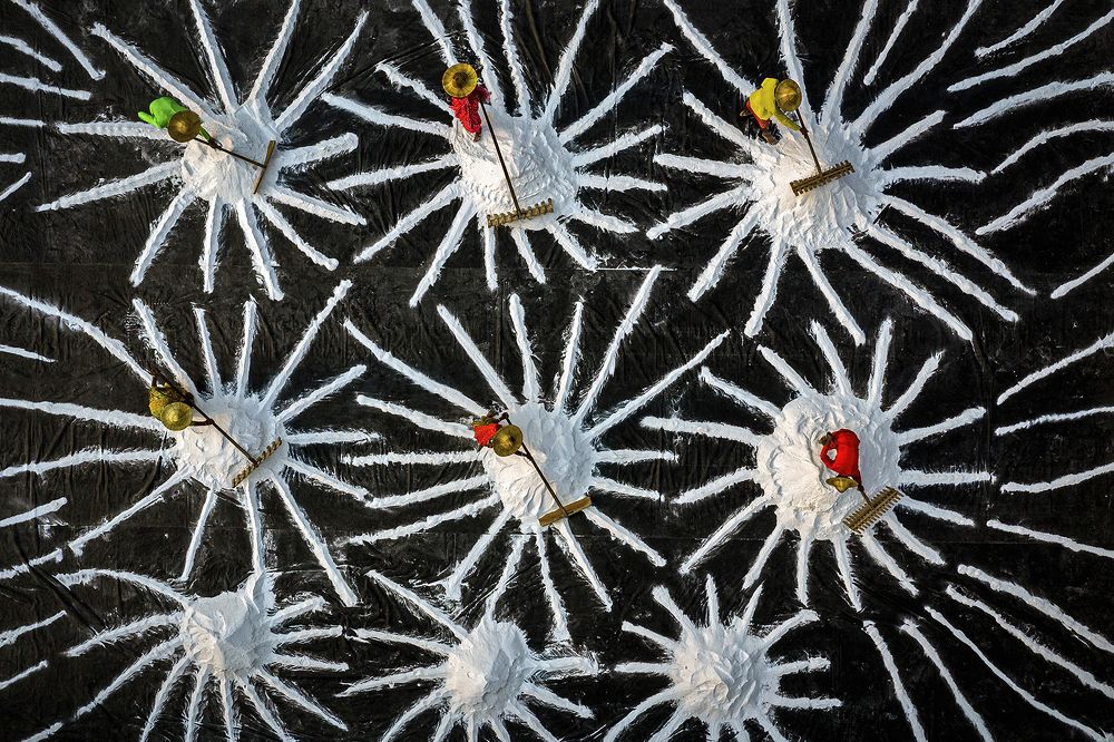 Photograph by Shibasish Saha