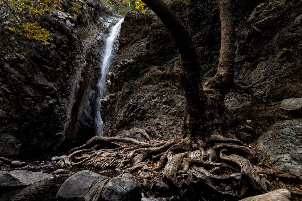 Photograph by Виктория Кузнецова