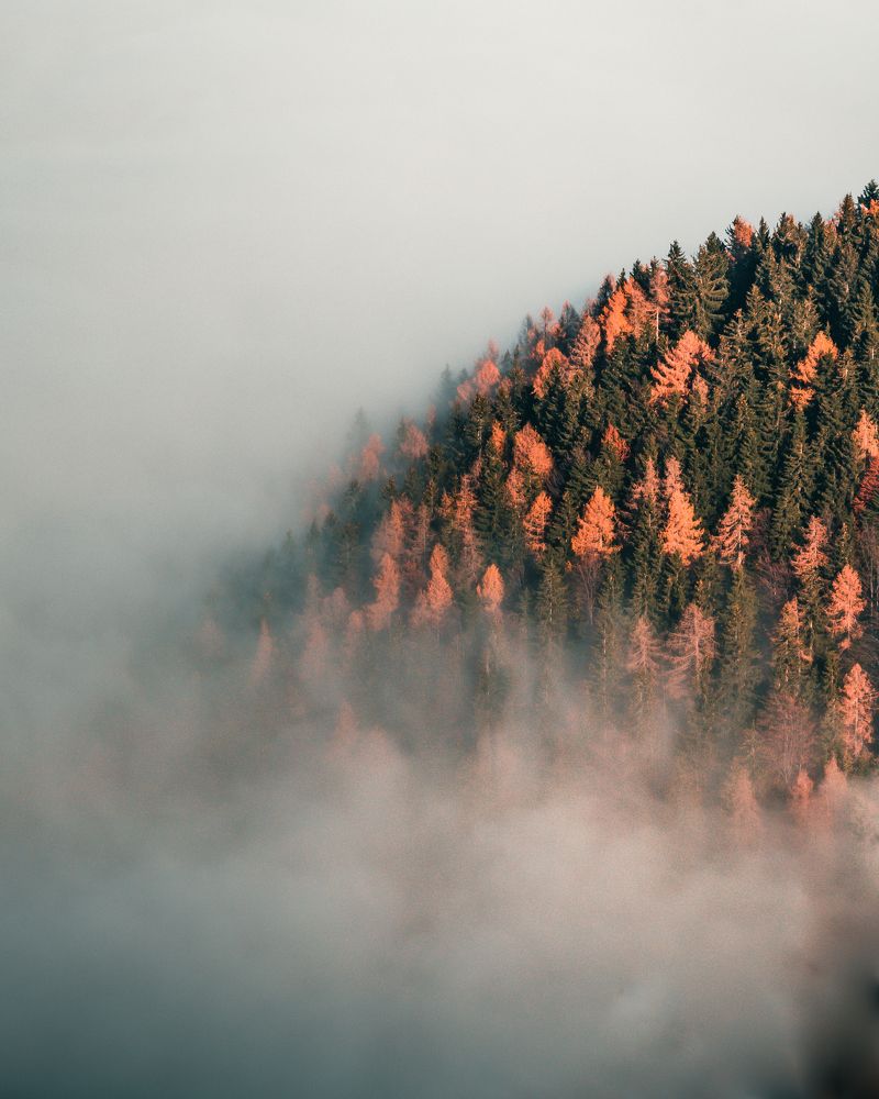 Photograph by Katja Golob