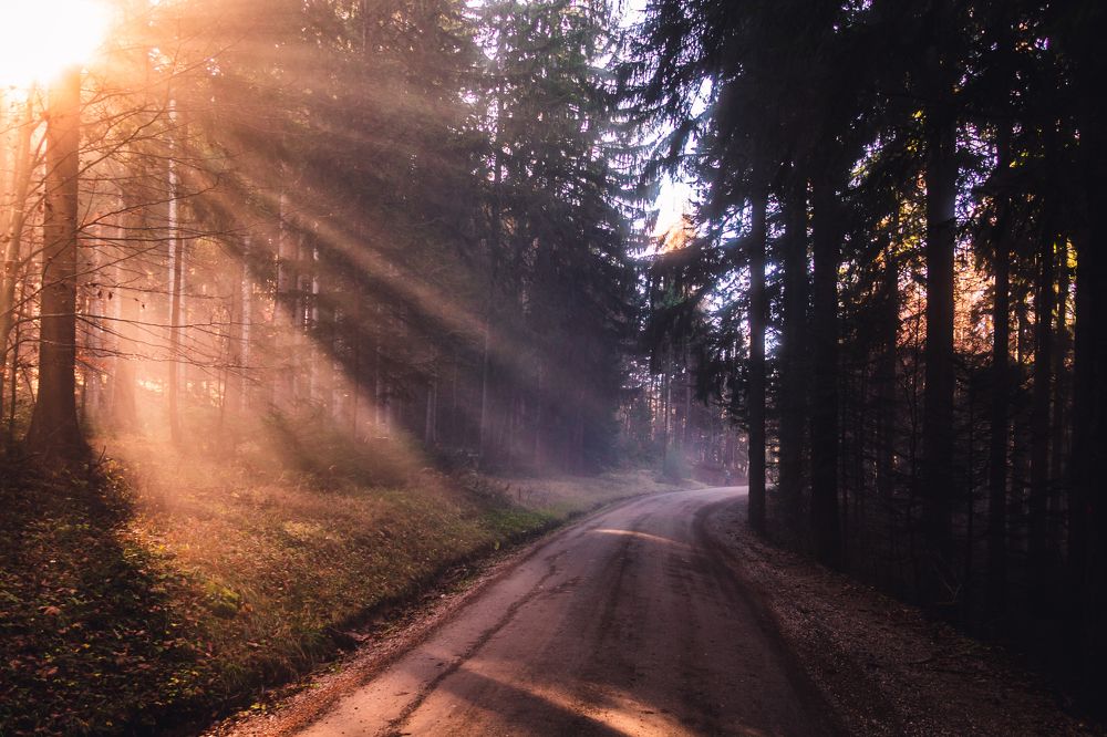 Photograph by Katja Golob