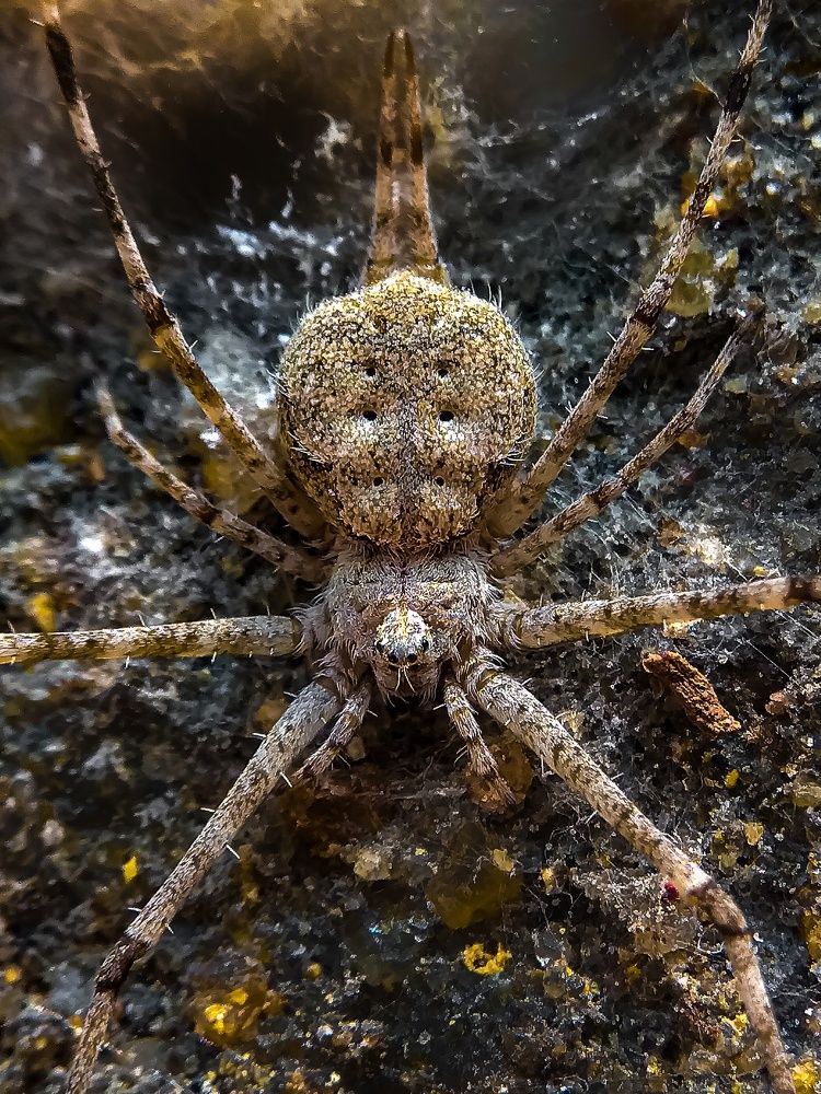 Photograph by Susmita Ghosh