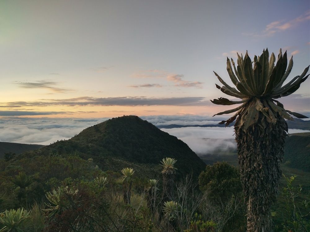 Photograph by Cristhian Medina Guerrero