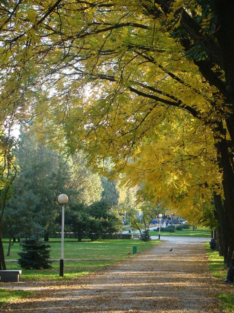 Photograph by Александра Синчук