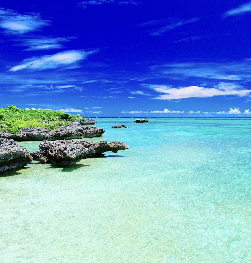 Фотография автора Баштовой Дмитрий