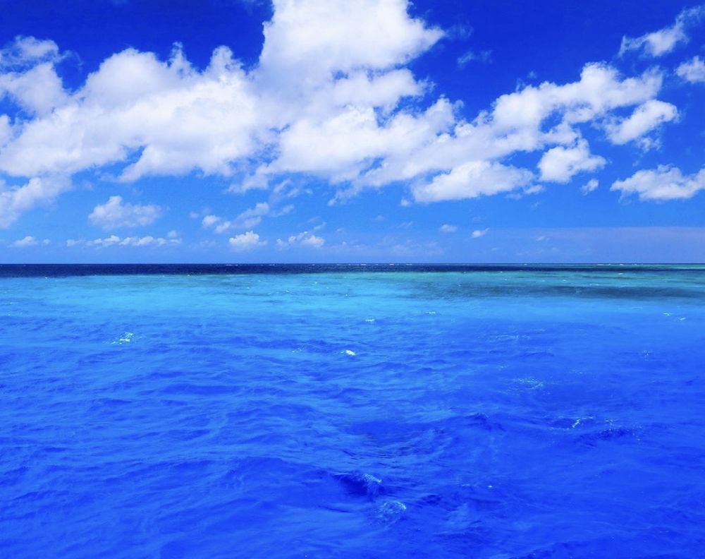 Фотография автора Баштовой Дмитрий