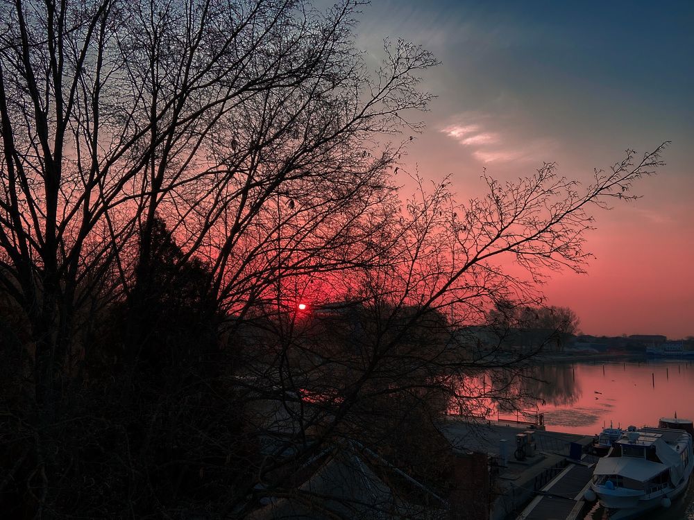 Фотография автора Loreta Tepshi