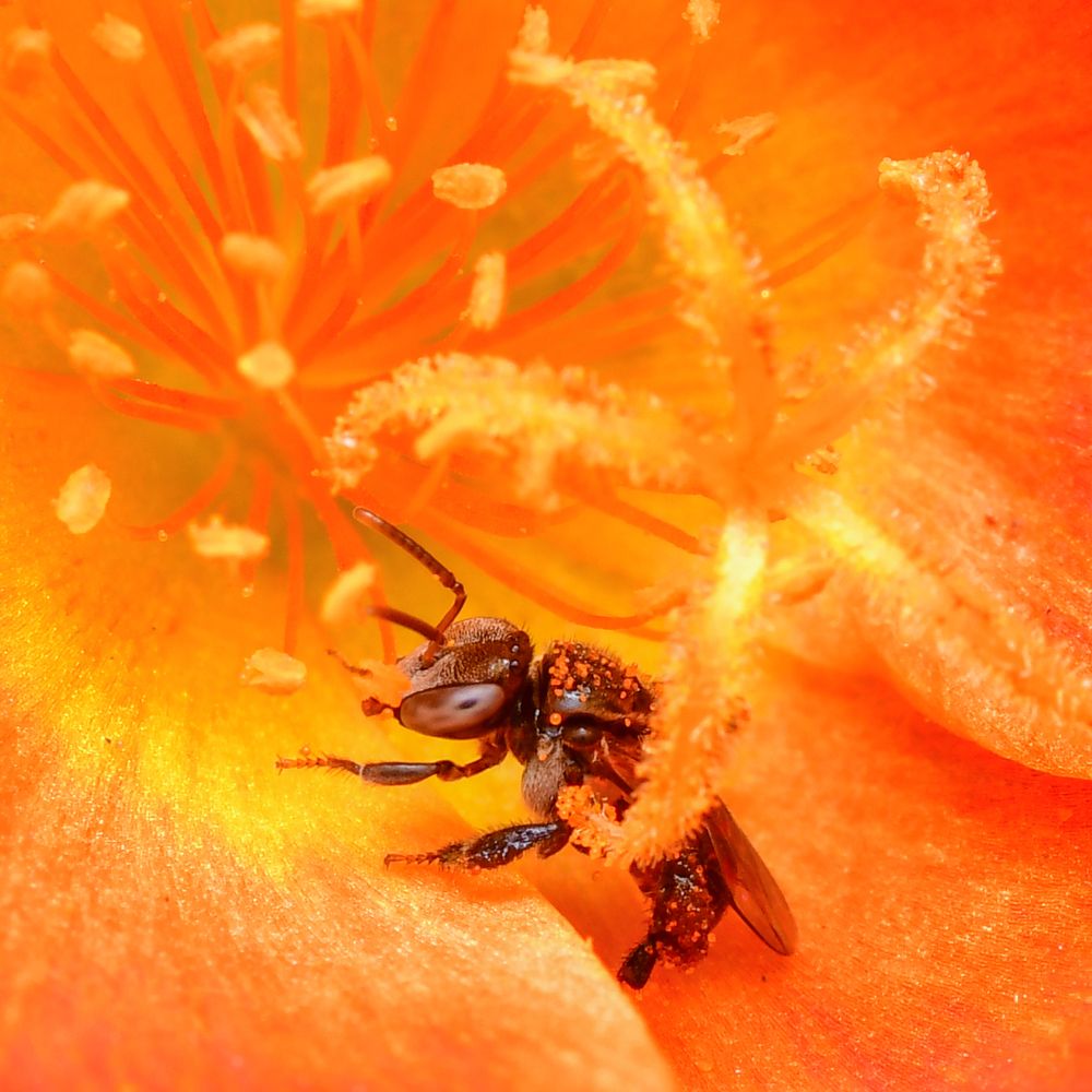 Photograph by James David Raj