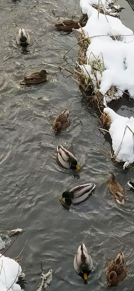 Photograph by Ирина Пшеничникова