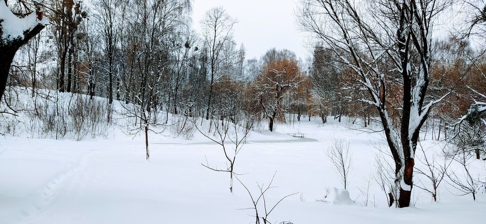 Photograph by Ирина Пшеничникова