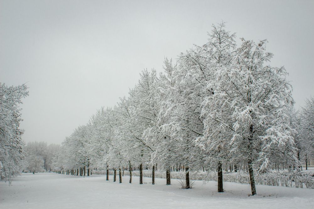 Зима замела ее снегом.