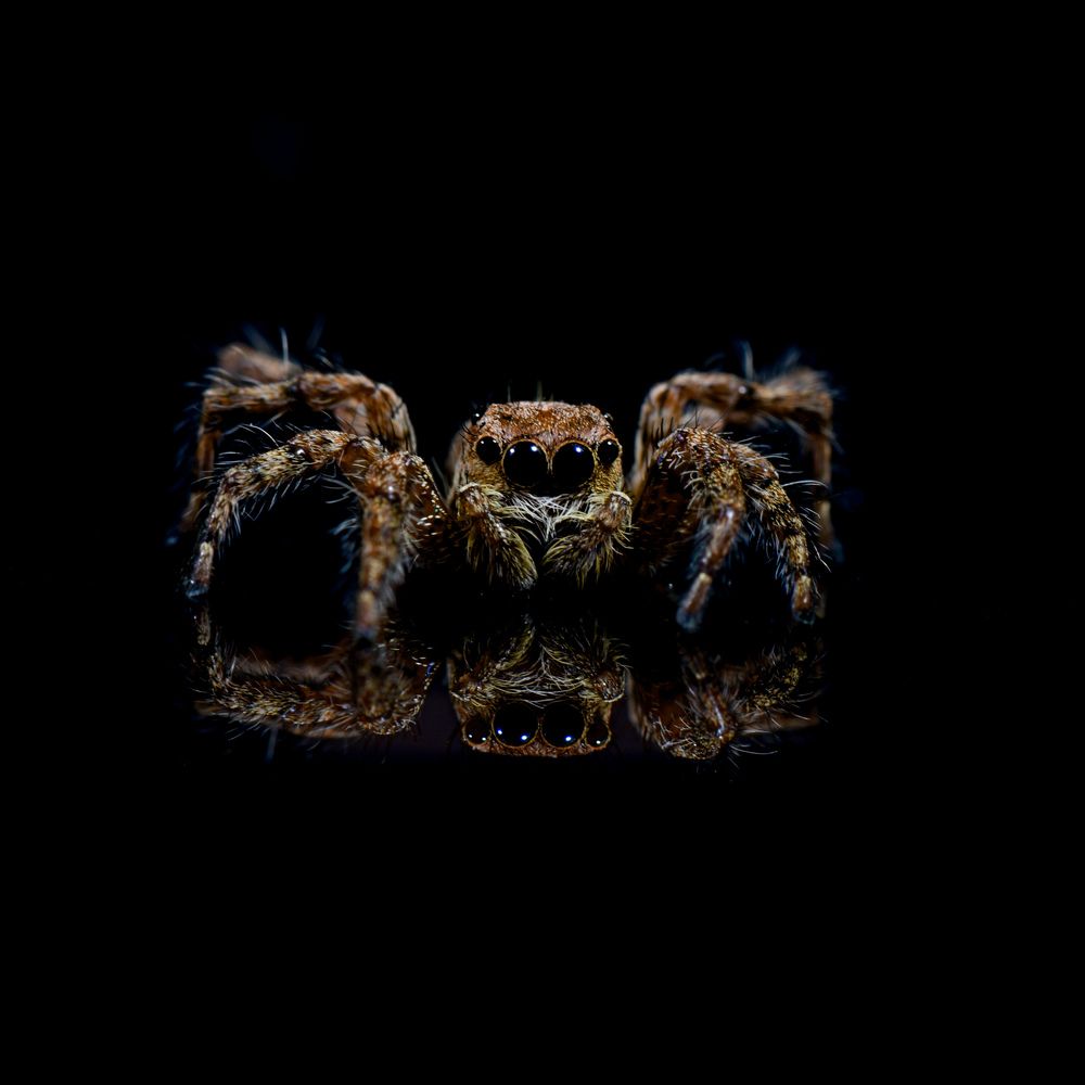 Photograph by Aakash Kumar