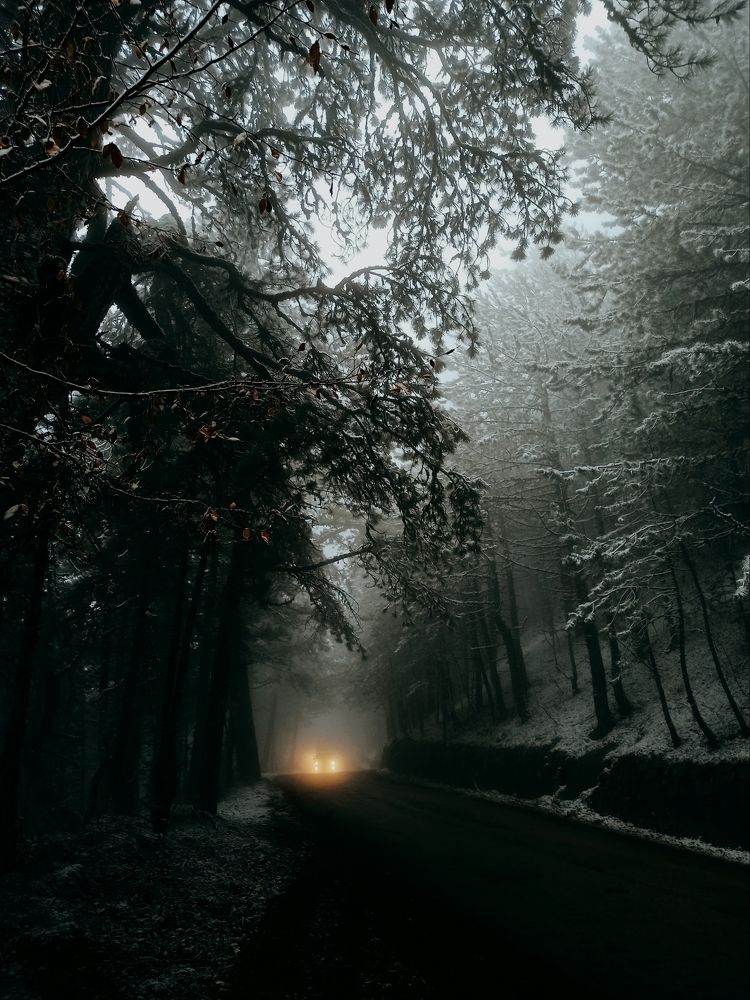 Туманная дорога