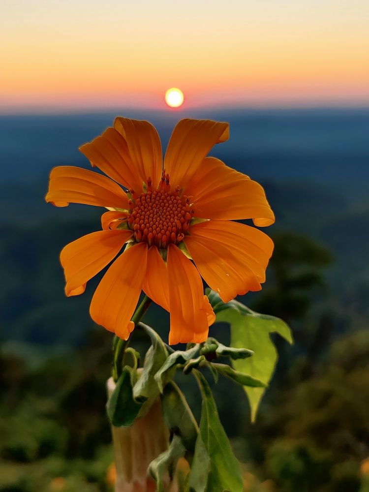 Photograph by Bithi Siddique