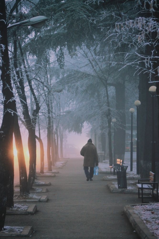 Photograph by Tinatin Gviniashvili-Chkhikvishvili