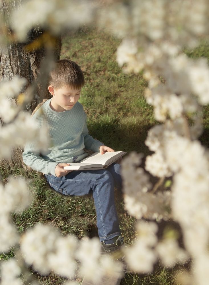 Photograph by Julia Reiner