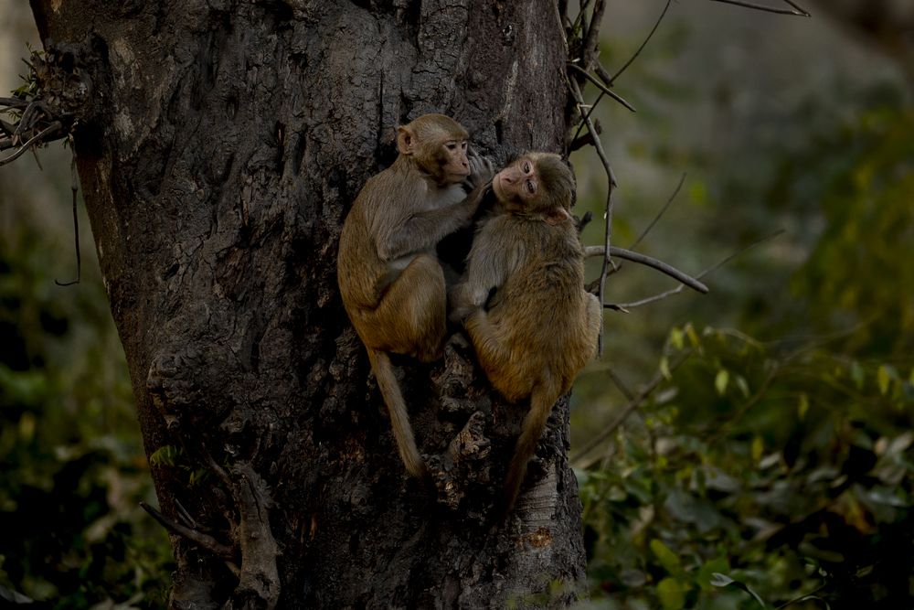 Photograph by Nabarun Majumdar