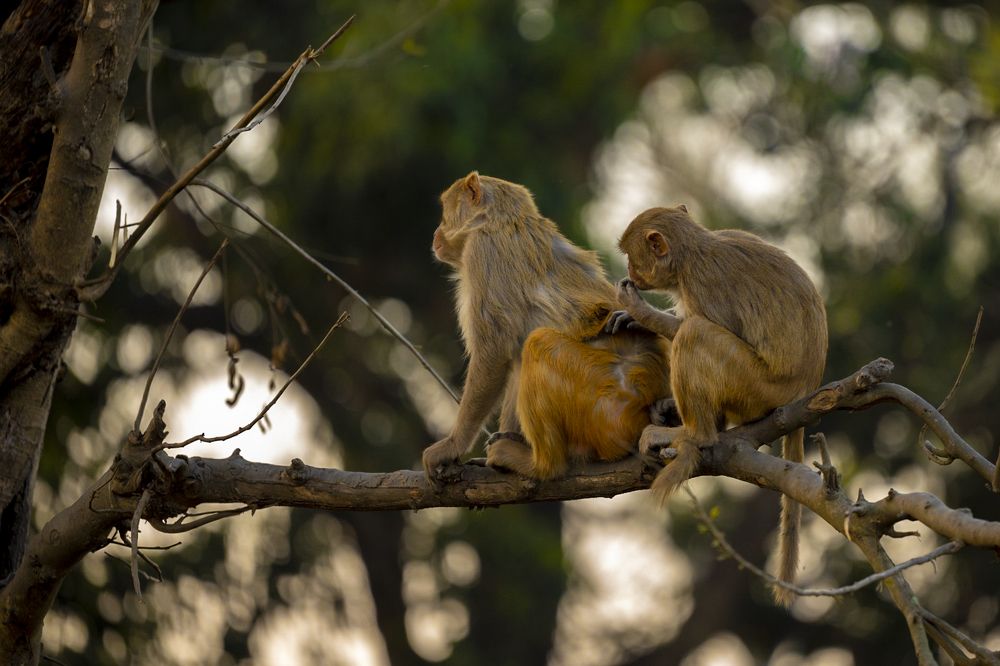 Photograph by Nabarun Majumdar